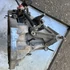 Kép 2/3 - Renault Clio III/Dacia Logan I 1.5dci bontott sebességváltó JR5180 5 sebességes mechanikus